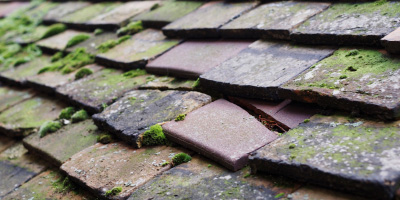 Broadland Row roof repair costs